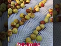 Custom Nylon-Roller-Bürste mit/ohne Welle für Kartoffel-Peller-Industriemaschine