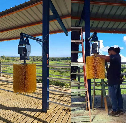 Automatic Electric Cattle Grooming Brushes Cow Roller Brush Back Scratcher